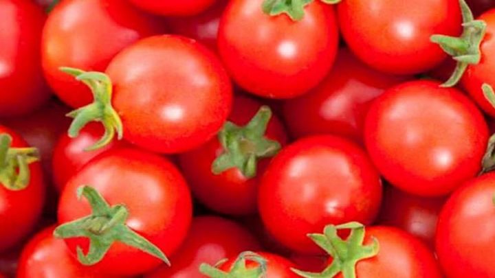 Azərbaycandan pomidor ixracı 2 dəfədən çox azalıb