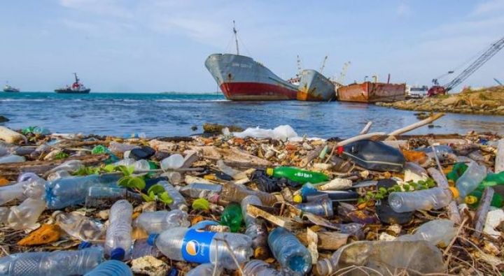 "bp Azərbaycan" Xəzər dənizində plastik tullantıların azaldılması işlərinə sponsor oldu