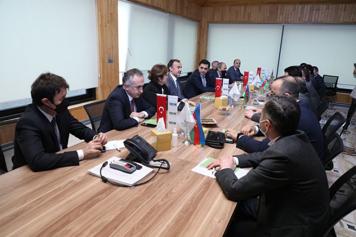 TARSİM təşkilatının nümayəndə heyəti sığorta şirkətləri ilə görüşdü