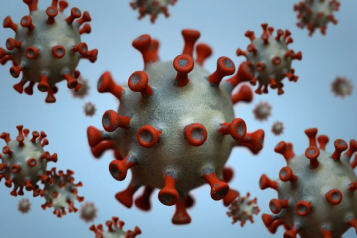 Amerikalı tədqiqatçı: “Yeni növ koronavirusun ABŞ-dakı laboratoriyalarda hazırlanması ehtimalı var”