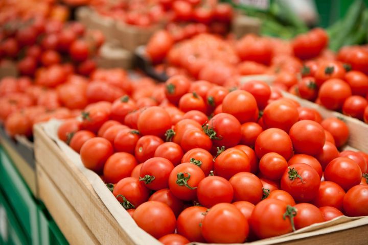 Apreldə Azərbaycandan Moskva regionuna 250 yük avtomobili pomidor daşınıb