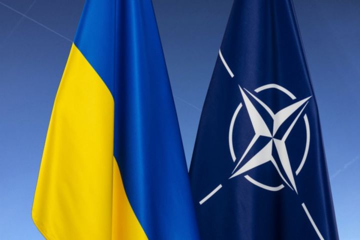 NATO Ukraynaya 55 milyard dollarlıq hərbi yardım edib