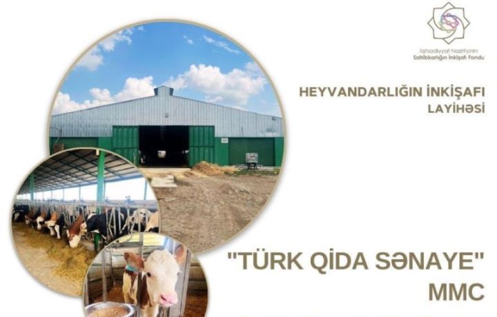 “Türk Qida Sənaye” şirkəti heyvandarlığın inkişafı layihəsi üzrə güzəştli kredit alıb
