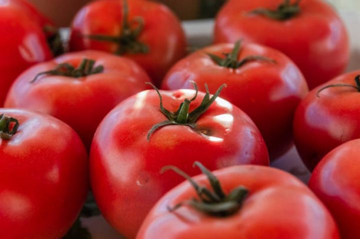 Azərbaycandan pomidor ixracı azalıb