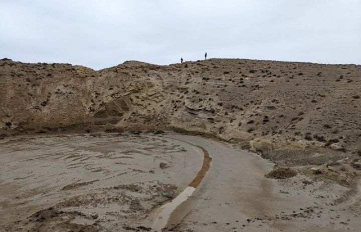 Salyandakı gilcə yatağının 13 hektar sahəsi "Körpü-Bina-Tikinti" şirkətinə verildi