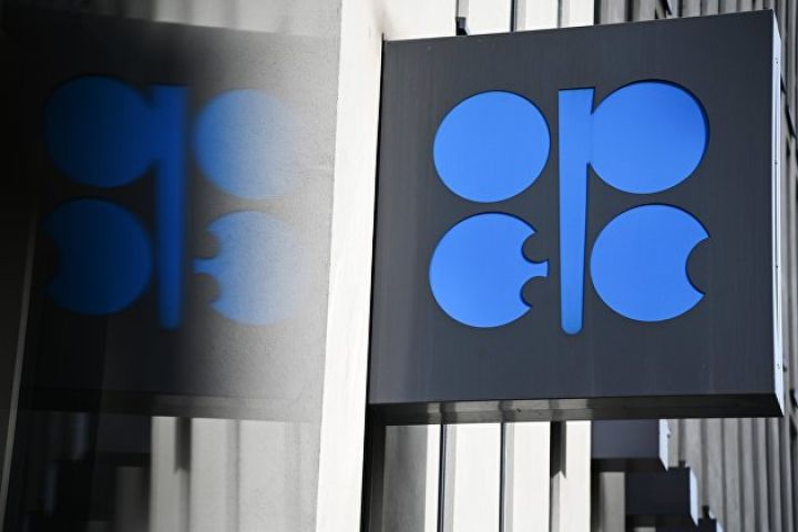 "ABŞ-da neft hasilatı pik həddi keçib, OPEC+ tezliklə bazar gücünü bərpa edəcək"