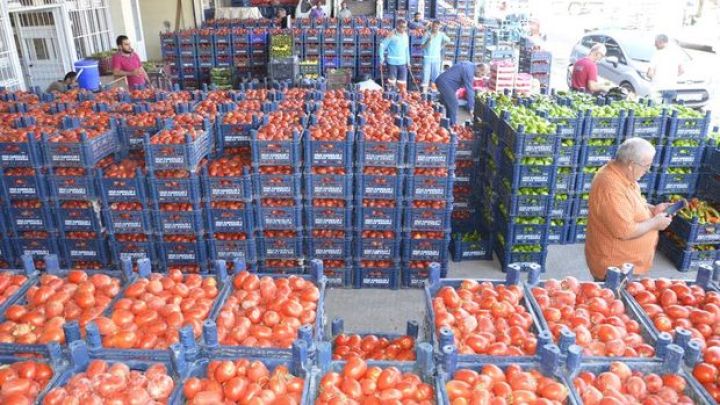 Türkiyənin pomidor ixracı 2023-cü ildə kəskin artıb