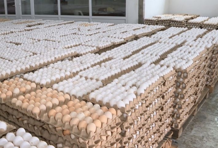 Azərbaycanın böyük yumurta istehsalçıları birləşdi