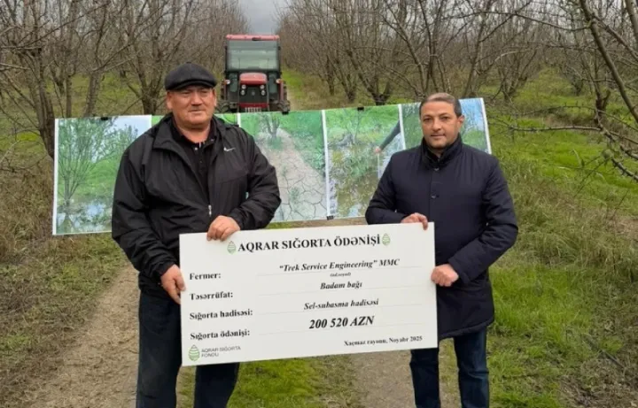 Badam bağlarına dəymiş zərər üzrə 200 min manat sığorta ödənişi edilib