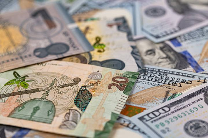 Manatın taleyi ilə bağlı 4 illik PROQNOZ AÇIQLANDI