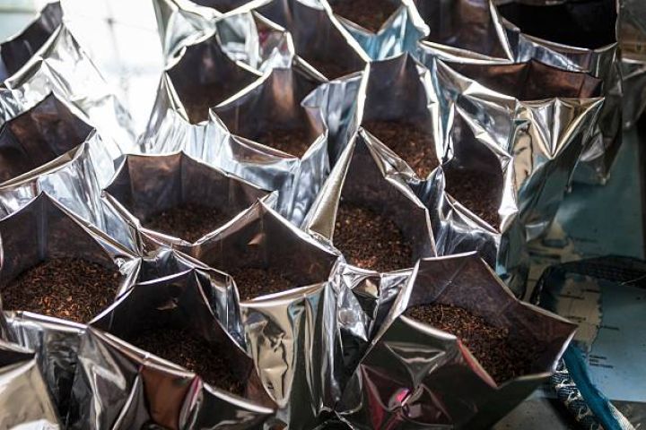 Xaricdən 64,7 milyon dollarlıq çay alınıb – İdxal 11 min tona yaxınlaşıb