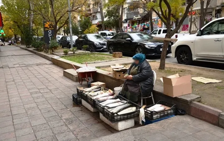 Qanunsuz küçə qida ticarətinə qarşı birgə nəzarət mexanizmi yaradılacaq