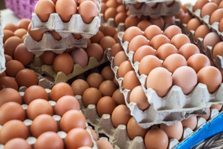 Azərbaycan yumurtası üçün yeni ixrac bazarları açılacaq